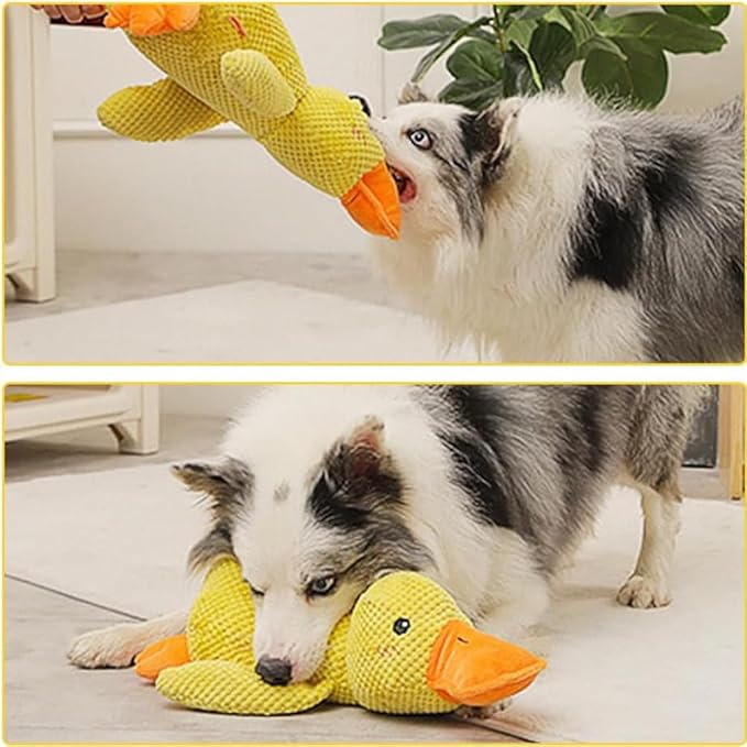 Calming Duck, Calming Duck Dog Toy Bright Yellow, Calming Duck for Dogs, Emotional Support Duck, The Mellow Dog Calming Duck, Quack-Quack Duck Dog Toy for Puppy Dogs (Green, Small)