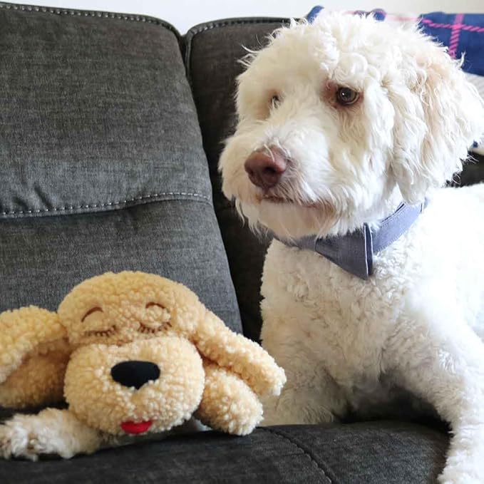 SmartPetLove Special Edition Snuggle Puppy Toys - Heartbeat Puppy for Dogs - Pet Anxiety Relief and Calming Aid - Comfort Dog Toys for Behavioral Training in Doodle