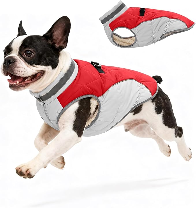 Dog Coat for Small Dogs, Adjustable Dog Jackets for Cold Weather, Reflective Winter Coat with Built-in Harness, Snowsuit Fits Dogs 7-14 lbs and Up, Size S Red