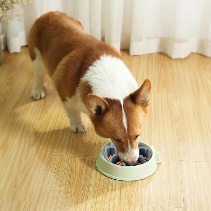 Soft Silicone Anti-Choking Puzzle Slow Feeder Insert, Anti-Slip for Dog Bowls