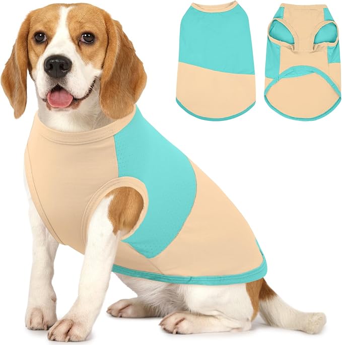 BRKURLEG Summer Dog Cooling Vest Quick Dry Breathable Dogs Cooling Shirts UPF 50+ Sun Protection Dog Shirt Lightweight Pet Shirts for Outdoor Adventures, Walking, Beach, GreenYellow, XXL