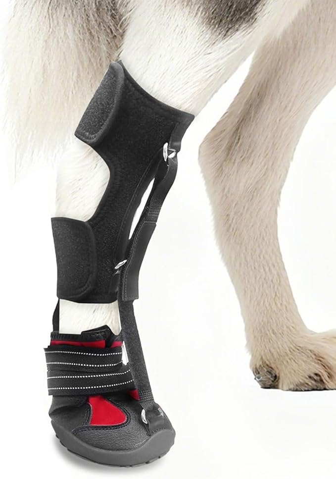 Toe Grips for Senior Dogs,Strap-On Drop Foot Brace for Dogs— Dog Knee Pads,Corrective Dog Shoes to Safely Lift Toes for Foot Issues, Arthritis, and improving Walking gait in Dog(XL)