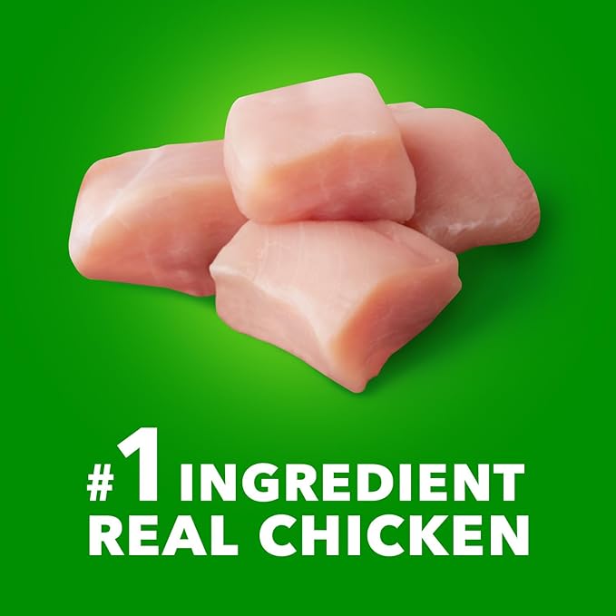 IAMS Proactive Health Large Breed Puppy Food with Real Chicken, 30.6 lb. Bag