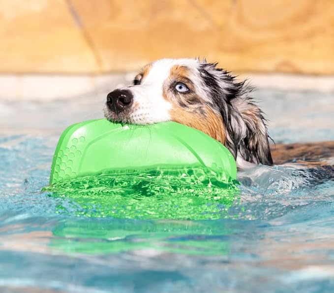 PROJECT HIVE ·PET COMPANY· - Tropical Coconut Scented - Hive Frisbee Disc for Dogs - Great for Fetch - Includes a Lick mat on Back - Floats in Water, Smooth Glide - Made in The USA