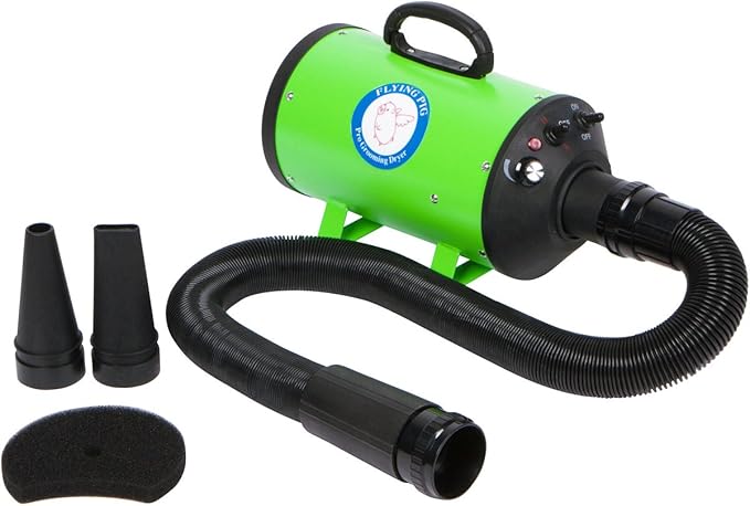 Flying Pig High Velocity Dog Pet Grooming Dryer w/Heater (Model: Flying One, Green)