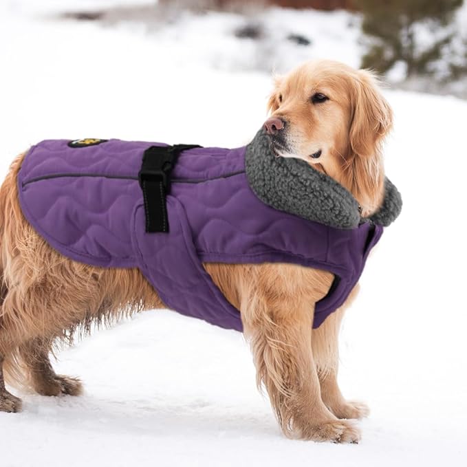 Dog Winter Coats, Fleece Lining Warm Coats for Dogs, Adjustable Windproof Pet Cold Weather Apparel, Quick Release Buckle Puppy Winter Jacket for Small Medium Large Dogs, Purple S