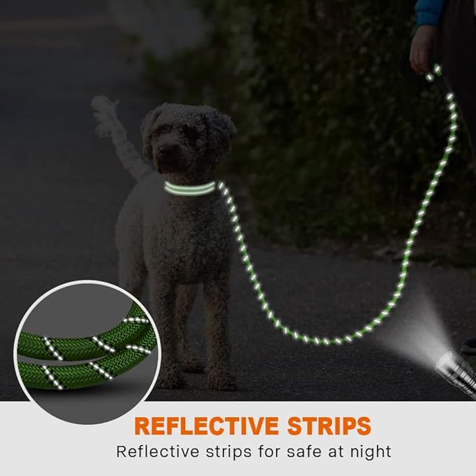 Taglory Rope Dog Leash 5 FT with Comfortable Padded Handle, Highly Reflective Threads Leash for Small Dogs, 3/8 inch, Green
