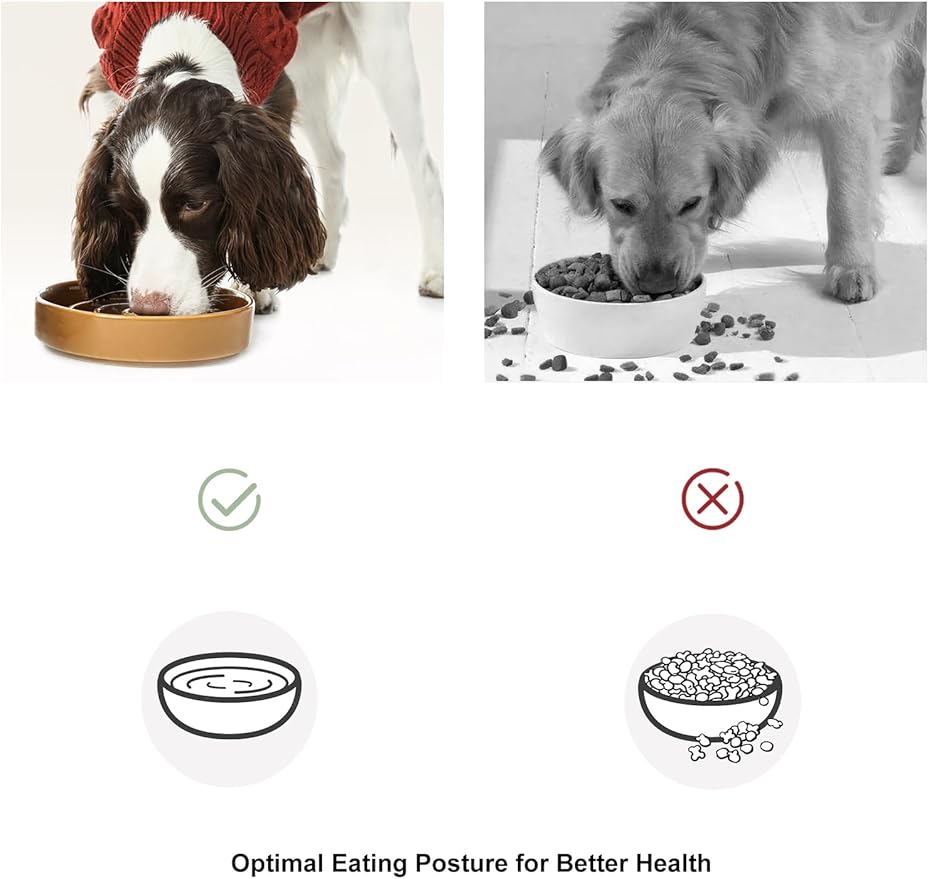 Ceramic Maze Dog Slow Feeder with Non-Slip Silicone Rim – Heavy-Duty Stoneware Bowl with Puzzle Pattern for Bloating & Obesity Prevention (Green-M)