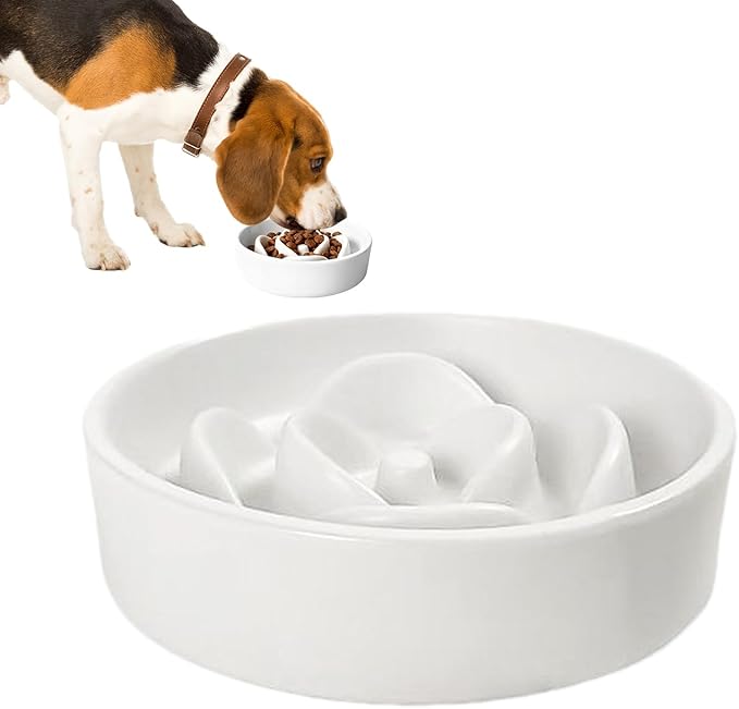 Pet Bowl - Slow Feed Dog Feeder | Fun Food Toy,Bowl for Puppies, Kittens, and Dogs, Encourages Slower Eating, Improves Digestion, Ideal for Home, Outdoor, Travel, and Daily Feeding Routines