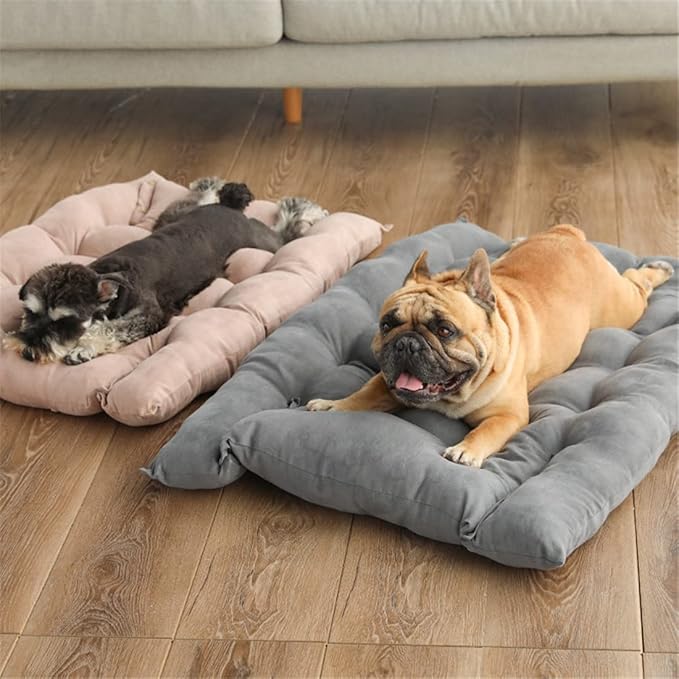Comfy Calming Dog Beds for Small Medium Large Dogs, Anti Anxiety Dog Bed, Self Warming Dog Bed Outdoor and Indoor, Cat Beds for Indoor Cats, Kennel Bed for Pet (Large(17x20inch),Lake Blue)