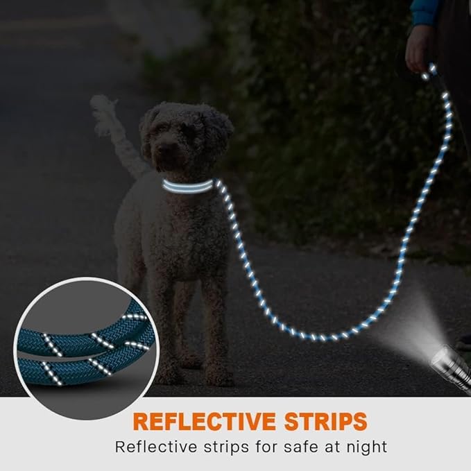Taglory Rope Dog Leash 4 FT with Comfortable Padded Handle, Highly Reflective Threads Leash for Small Dogs, 3/8 inch, Blue