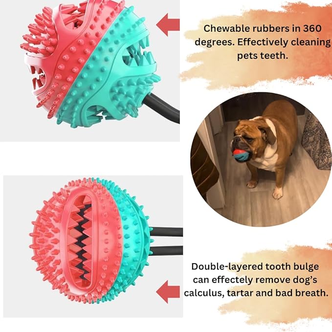 Interactive Dog Ball with Bell for Aggressive Chewers and Seperation Anxiety. Dog Toothbrush. Toy for Teething Puppys. Color May Vary