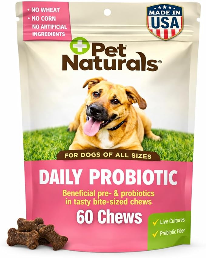 Pet Naturals Probiotics for Dogs – 60 Soft Chews, Dog Probiotic Chews for Digestive & Gut Health Support, 120M CFUs + Prebiotics, Immune Support for Occasional Upset Stomach, Duck Flavor, All Breeds
