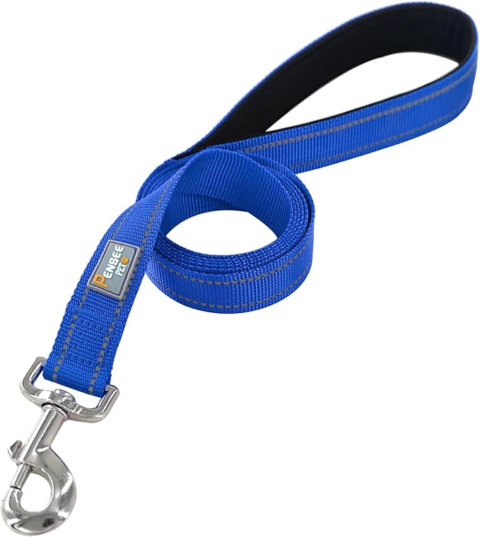 Dog Leash 6 FT Padded Handle Nylon Reflective Dogs Leashes for Large Dogs Blue