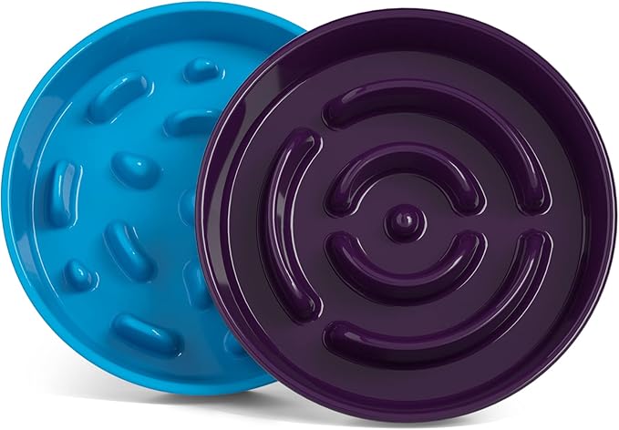 LE TAUCI Dog Slow Feeder Bowl,3 Cups Ceramic Maze Pattern for Large Breed,Bule and Purle