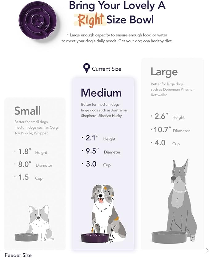 LE TAUCI Dog Slow Feeder Bowl,3 Cups Ceramic Maze Pattern for Large Breed,Bule and Purle