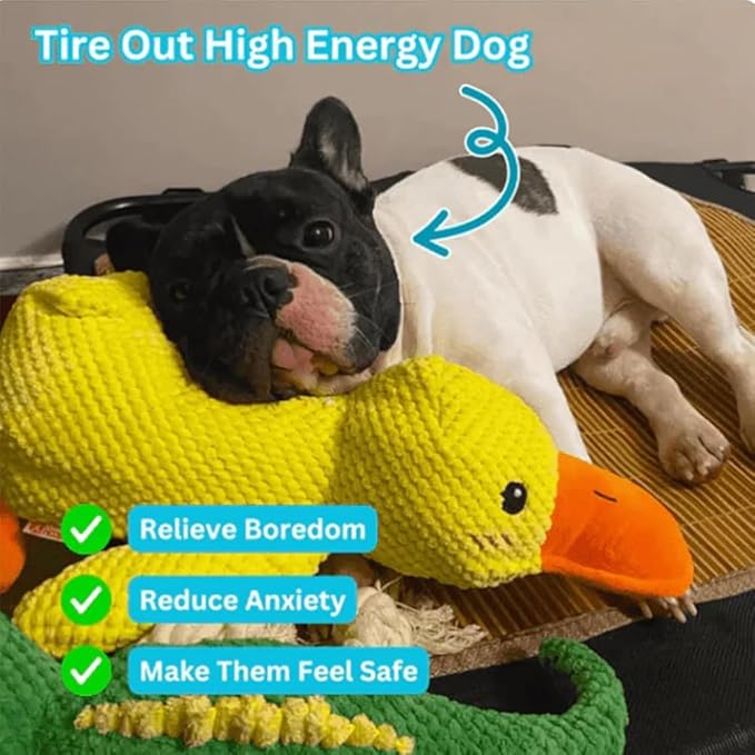 Calming Duck, Calming Duck Dog Toy Bright Yellow, Calming Duck for Dogs, Emotional Support Duck, The Mellow Dog Calming Duck, Quack-Quack Duck Dog Toy for Puppy Dogs (Yellow, Small)