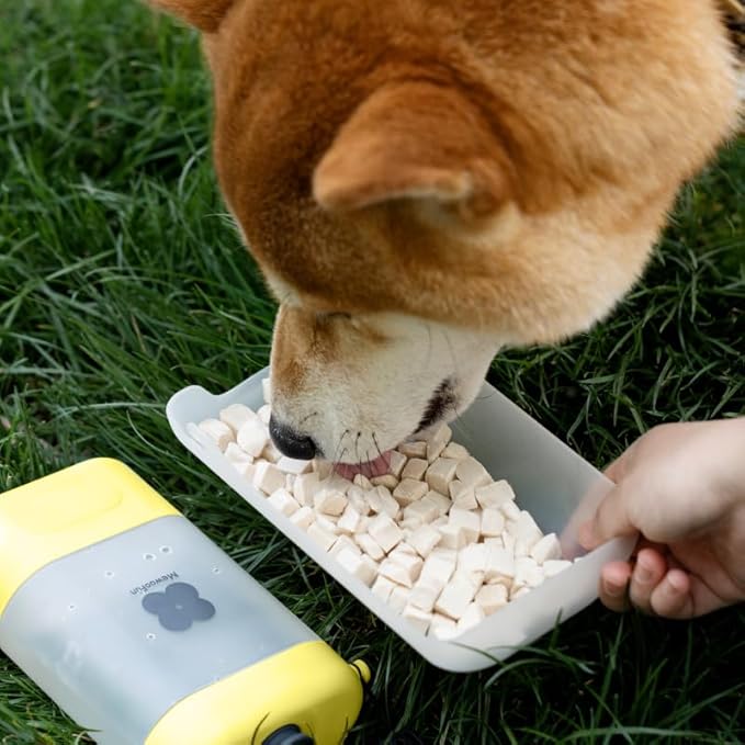 All-in-One Portable Dog Water Bottle with Treat Container, Foldable Bowl, Waste Bag Dispenser & Crossbody Strap – Leak-Proof Pet Travel Feeder for Walking, Hiking & Outdoor Adventures, Yellow