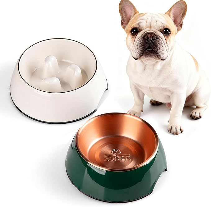 Dog Bowls Set, Double Food & Water Bowls for Dogs, Slow Feeder Dog Bowl Non-Slip Pet Bowls Suitable for Small and Medium Breed Dogs