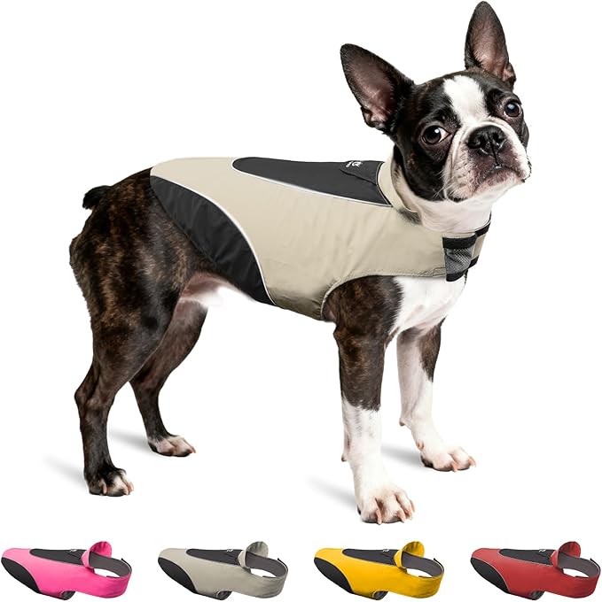 TSPRO Premium Dog Raincoat for Small/Medium Dogs, Waterproof Nylon, Reflective Strips, Easy-On Adjustable Hook & Loop Fastener, Leash Hole for Outdoor Walks (Grey, M)
