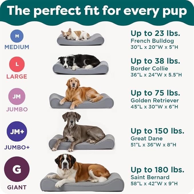 FurHaven Orthopedic Dog Bed for Large Dogs, Luxe Lounger Contour Mattress with Medical-Grade Solid Orthopedic Foam for Joint Support, Removable Washable Cover, Large, Plush Suede, Gray