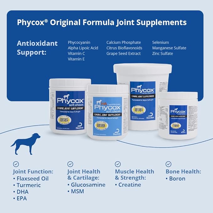 Dog Joint Supplement Soft Chews, 60 Ct