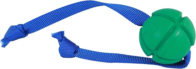 PetKORE: FloTex Tug - Large - 3.25" Green, Rubber Dog Toy, Removable Strap Tail, Patented Airflow Grooves, Bounce-Fetch-Chew, Pet Indoor-Outdoor Play