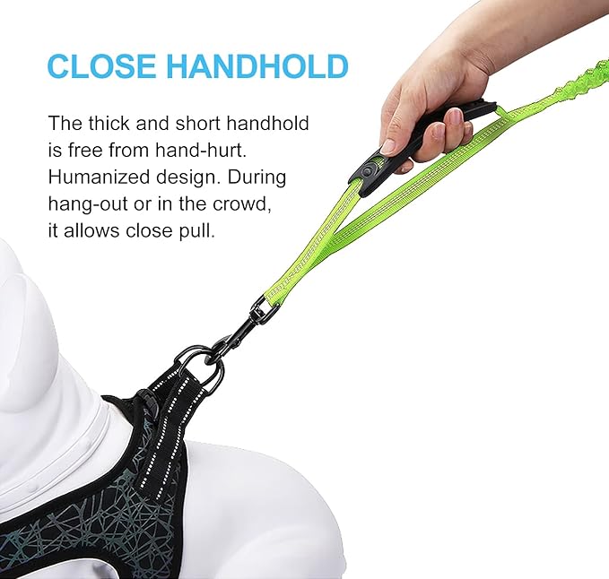 6FT Highly Reflective Heavy Duty Elastic Bungee Medium and Large Dog Leash Shock Absorbing with Comfortable Padded Handle and Traffic Handle Suitable for Training