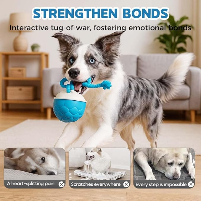 Interactive Dog Toys - 2026 Upgraded Motion Activated Automatic Rolling Ball Toys for Small/Medium/Large Dogs Balls for Boredom to Keep Them Busy with USB Rechargeable (Blue Orange)