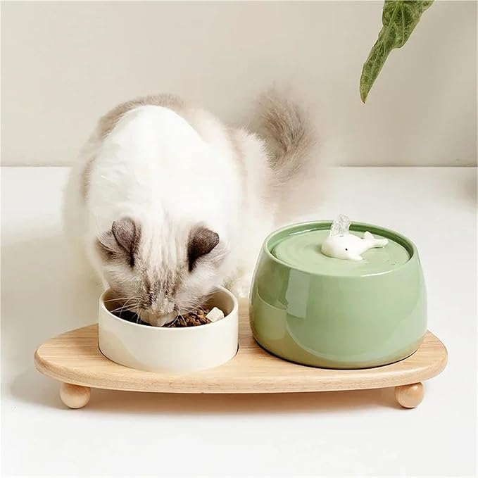 Compatible for 1.3L Ceramic Pet Water Fountain USB Charging Automatic Circulating Filtration for Cats Dogs(White)