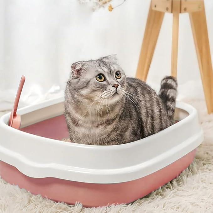 Kitten Starter Kit - 16 Pcs Cat Essentials Set Includes Litter Box, Toys, Collars, Scratch Pad, Nail File, Automatic Feed Bowls, Grooming Gloves (Pink, 16 Pcs)
