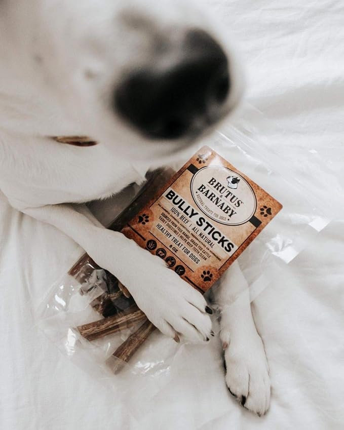 BRUTUS & BARNABY Bully Sticks for Dogs, 6" – Low-to-No Odor, Grass-Fed, Rawhide-Free Chews for Aggressive Power Chewers