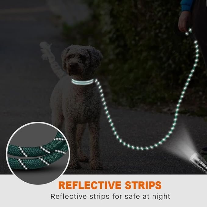 Taglory Rope Dog Leash 6 FT with Comfortable Padded Handle, Highly Reflective Threads Leash for Small Dogs, 3/8 inch, Turquoise