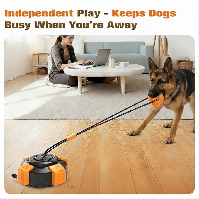 Frozen Dog Treat Toy & Suction Cup Dog Toy for Large & Medium Dogs- Complete Dog Toy Set with Rope Toy and Puzzle Toy for Aggressive Chewers, Interactive Chew Toys for Mental Stimulation