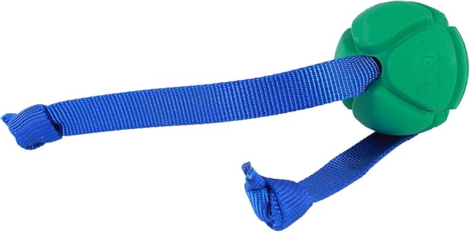 PetKORE: FloTex Tug - Large - 3.25" Green, Rubber Dog Toy, Removable Strap Tail, Patented Airflow Grooves, Bounce-Fetch-Chew, Pet Indoor-Outdoor Play