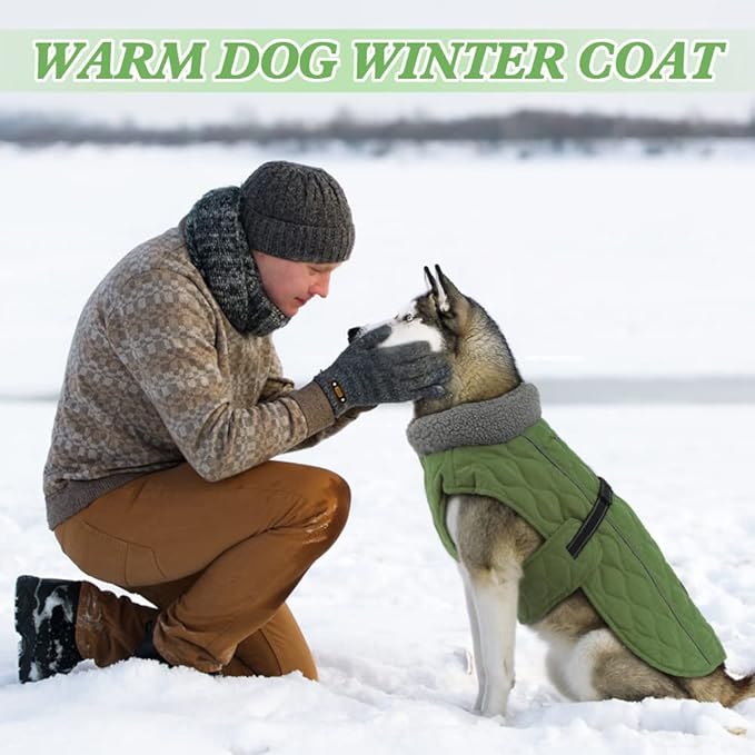 Dog Jackets, Furry Collar Winter Coats for Dogs with Fleece Lining, Water Resistant Reflective Winter Dog Jackets, Adjustable Warm Windproof Pet Coats for Large Dogs, Green L