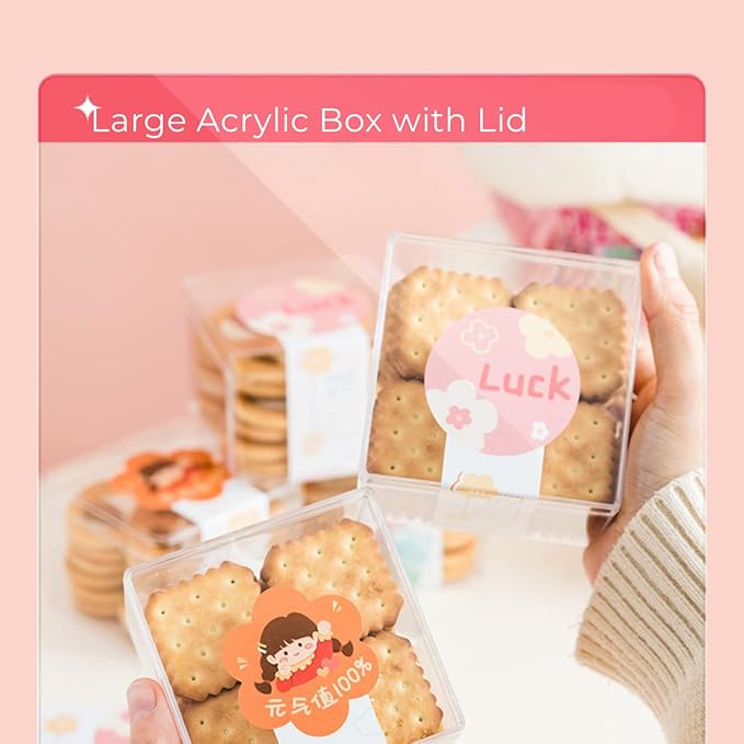 Acrylic Box Clear Display Boxes with Lids 100X100X100mm Acrylic Square Cube with Lid Acrylic Decorative Storage Boxes Clear Storage Container for Candy Pill and Tiny Jewelry