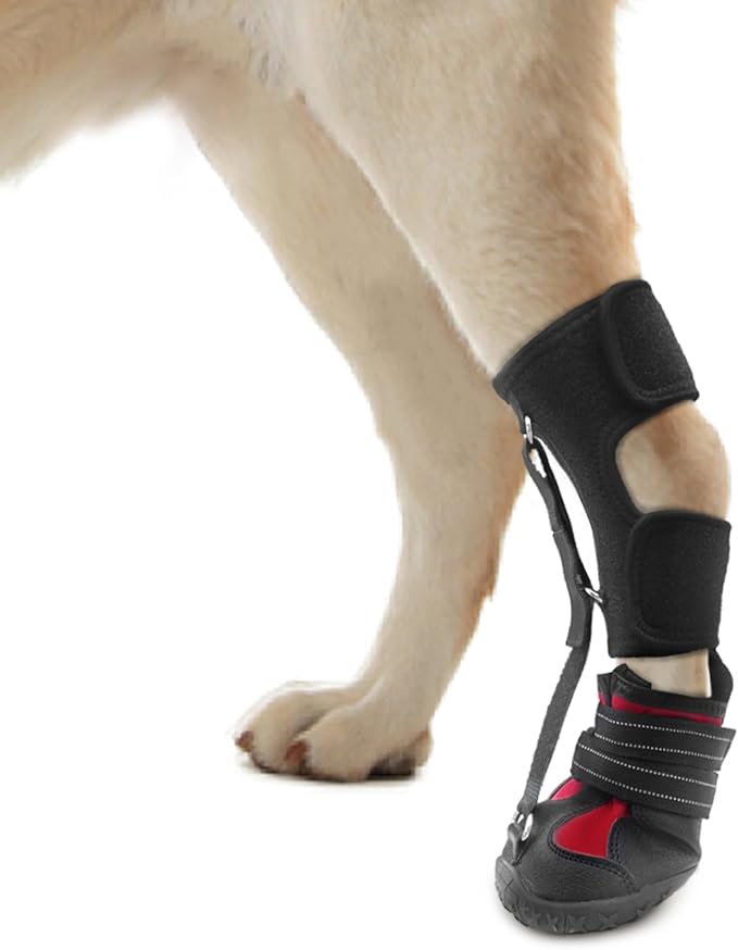 Strap-On Drop Foot Brace (No Knuckling Boot Brace) for Dogs— Corrective Dog Shoes to Safely Lift Toes for Foot Issues, Arthritis, and improving Walking gait in Dogs(S)