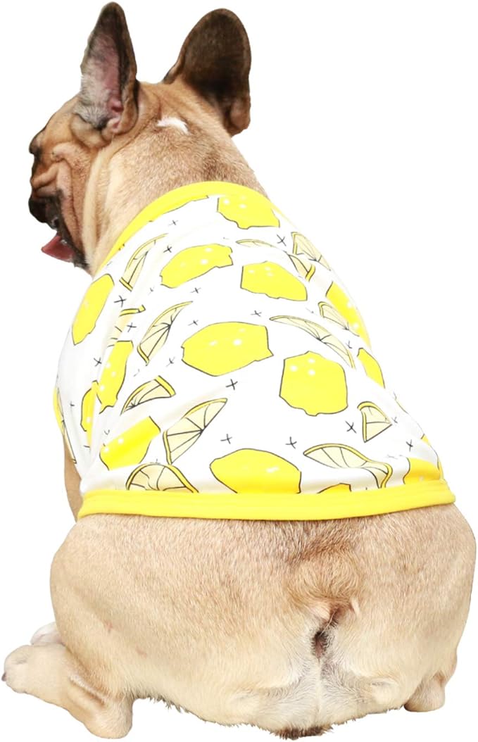 iChoue 100% Breathable Cotton English Bulldog Halloween Cartoon T Shirts Cute Clothes for Medium Large Dogs Vest Tank Tops Terrier Pitbull Lemon - XXLarge