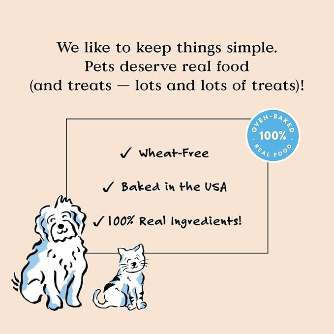 Bocce’s Bakery Dailies Brushy Sticks to Support Oral Health & Fresh Breath, Wheat-Free Dental Bars for Dogs,Made with Real Ingredients, Baked in the USA, All-Natural Coconut & Mint Recipe, (Pack of 2)