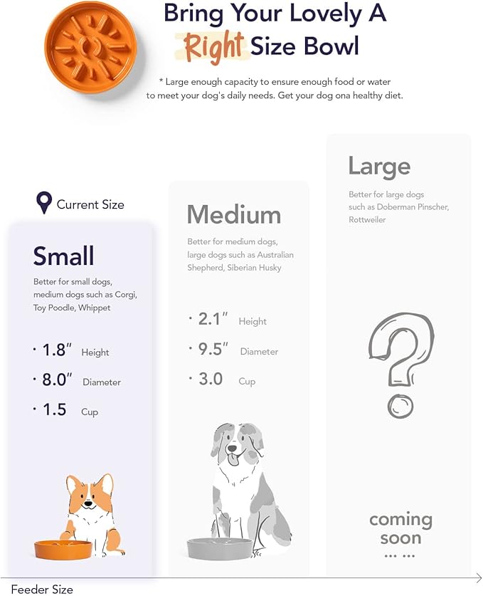 LE TAUCI Ceramic Slow Feeder Bowl, 1.5 Cups for Small Medium Breed Dogs, Puzzle Dish to Slow Down Eating for Fast Eaters