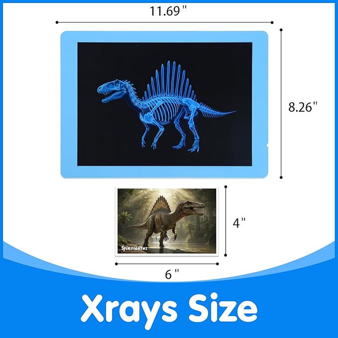 15 Pcs Dinosaur Xrays & Creatures Cards，Animal Xrays for Kids，Light Table Toys，Mythical Creatures Science Kit