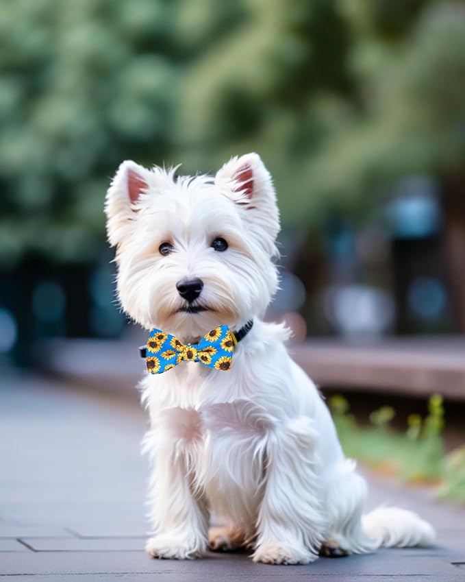PET SHOW 10 Pack Small Dog Bow Ties Sliding Collar Attachments Puppy Cats Daily Bowties for Medium Dogs Multiple Styles Cute Summer Bowknots Wedding Party Holiday Pet Grooming Accessories(Small)