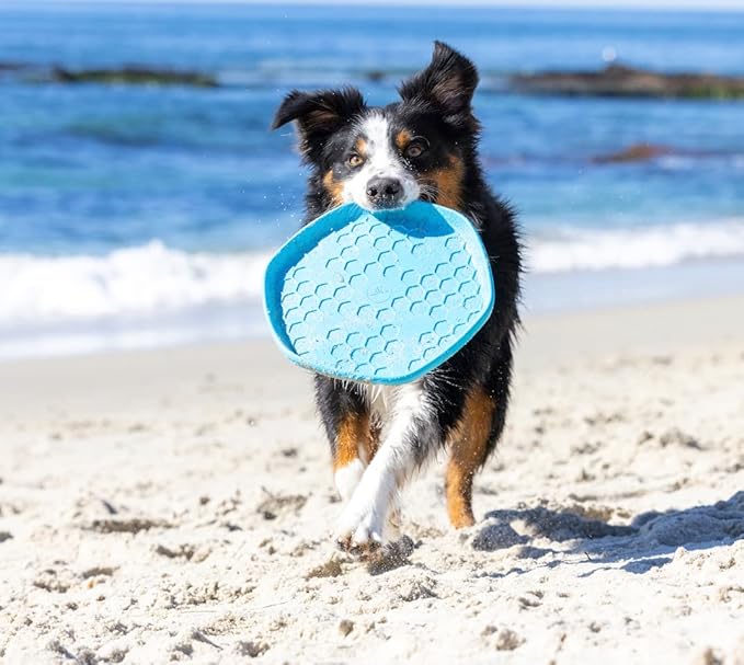 PROJECT HIVE ·PET COMPANY· - Soothing Vanilla Scented - Hive Frisbee Disc for Dogs - Great for Fetch - Includes a Lick mat on Back - Floats in Water, Smooth Glide - Made in The USA