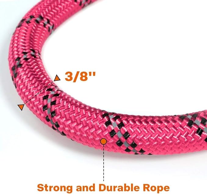 Taglory Rope Dog Leash 4 FT with Comfortable Padded Handle, Highly Reflective Threads Leash for Small Dogs, 3/8 inch, Pink