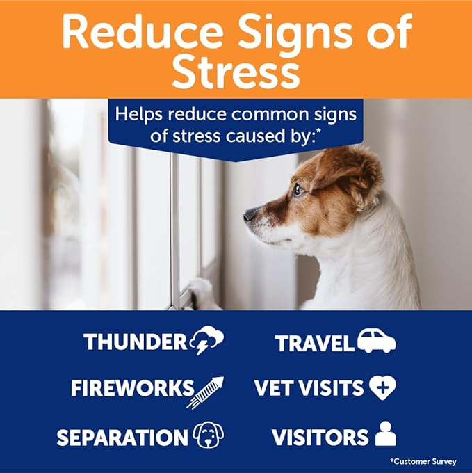 ThunderWunders Hemp Dog Calming Chews | Vet Recommended for Situational Anxiety | Fireworks, Thunderstorms, Travel & More | Made with Hemp Seed, Thiamine, L-Tryptophan, Melatonin & Ginger (60 Count)