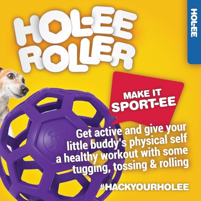 JW Pet HOLEE ROLLER BALL Dog Chew Treat Fetch Bouncy Toy LARGE 5.5 inch 3 PACK