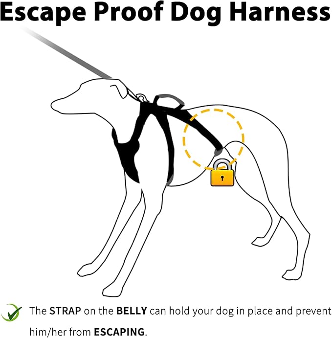 Huntboo Escape Proof Dog Harness, No Pull Reflective Harness with Lift Handle, Adjustable Pet Vest with Front and Back Leash Clips for Small Medium Large Dogs Walking Hiking Training (Orange,L)