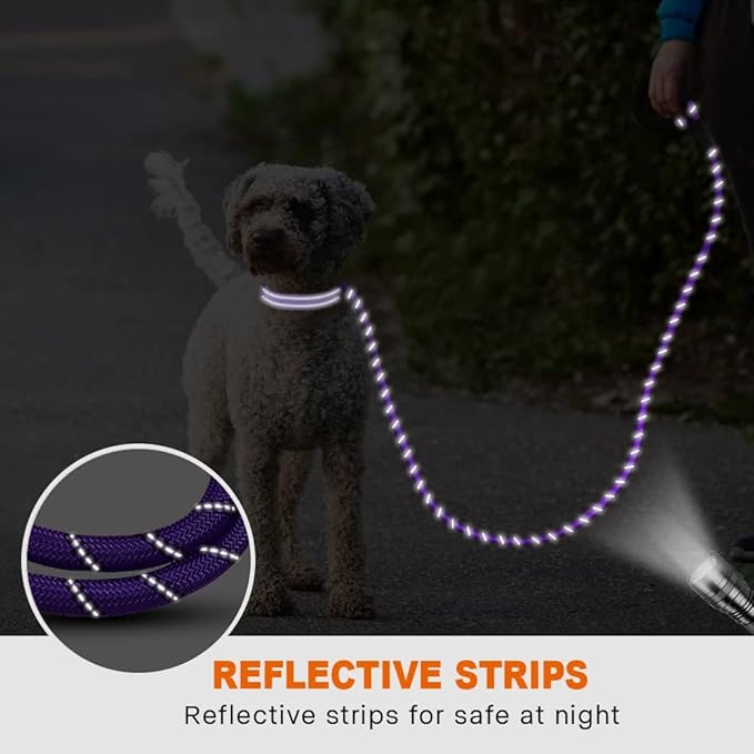 Taglory Rope Dog Leash 5 FT with Comfortable Padded Handle, Highly Reflective Threads Leash for Small Dogs, 3/8 inch, Purple
