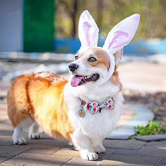 PET SHOW 10pcs Easter Day Small Dog Bow Ties for Medium Dogs Puppies Rabbit Cat Detachable Bowties with Elastic Bands Attach to Collar Pet Grooming Collar Attachment Accessories (for M/L)